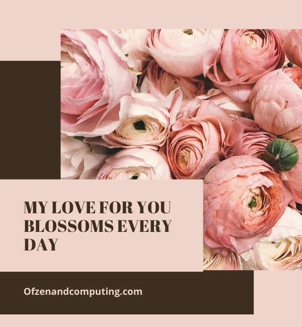 Catchy Flower Captions For Instagram (2025)