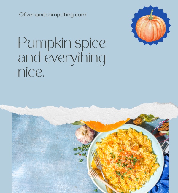 Cheesy Pumpkin Patch Captions For Instagram (2025)