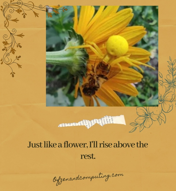 Clever Flower Captions For Instagram (2025)