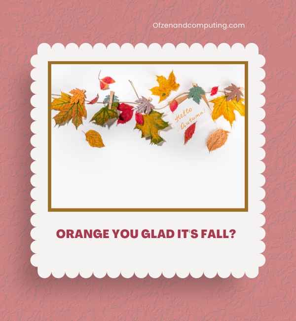 Creative Fall Captions For Instagram (2025)