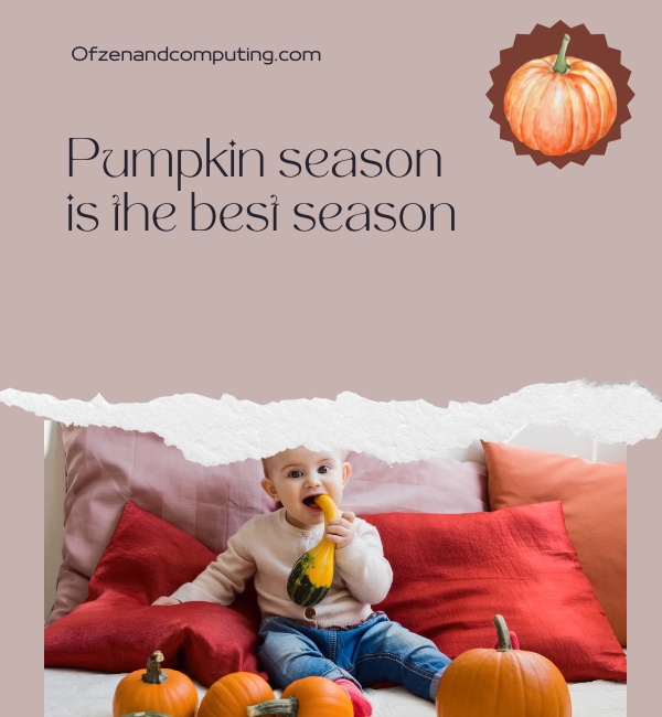 Cute Pumpkin Patch Captions For Instagram (2025)