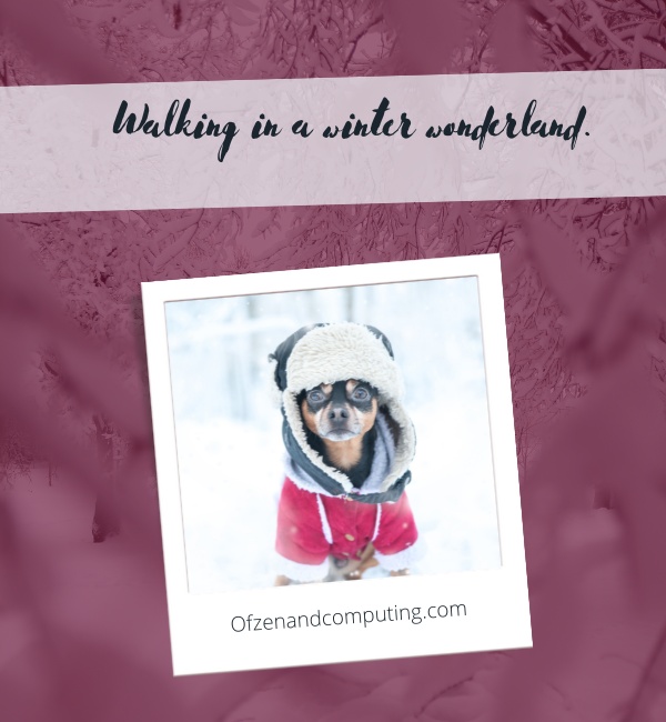 Cute Winter Captions For Instagram (2025)