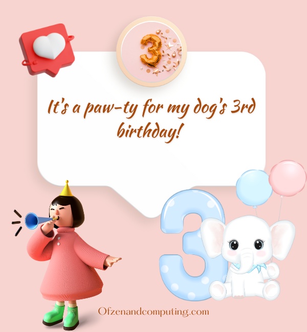 Dog 3rd Birthday Captions For Instagram (2025)