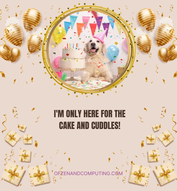 Dog Birthday Captions For Instagram