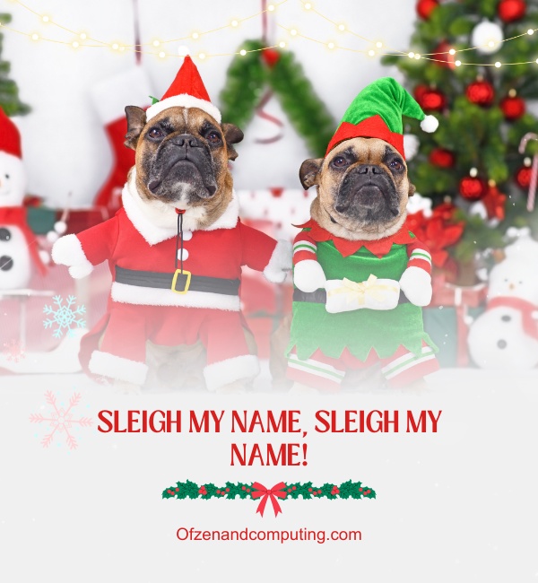 Dog Christmas Captions For Instagram (2025)