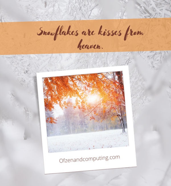 First Day Of Winter Captions For Instagram (2025)