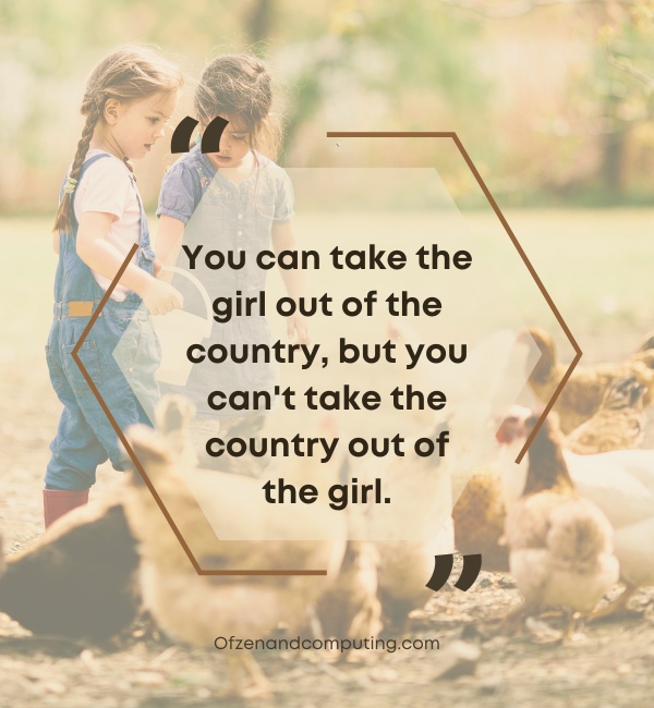 Funny Country Captions For Instagram (2025)