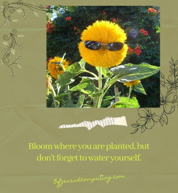 Funny Flower Captions For Instagram (2025)