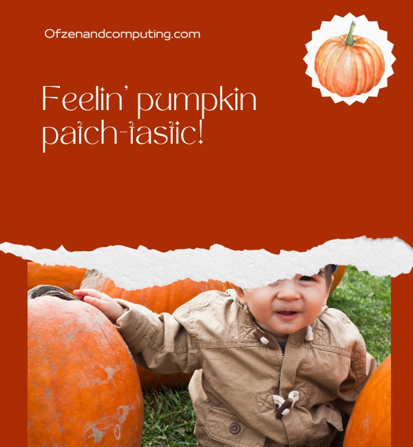 Funny Pumpkin Patch Captions For Instagram (2025)