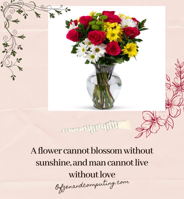 Good Flower Captions For Instagram (2025)