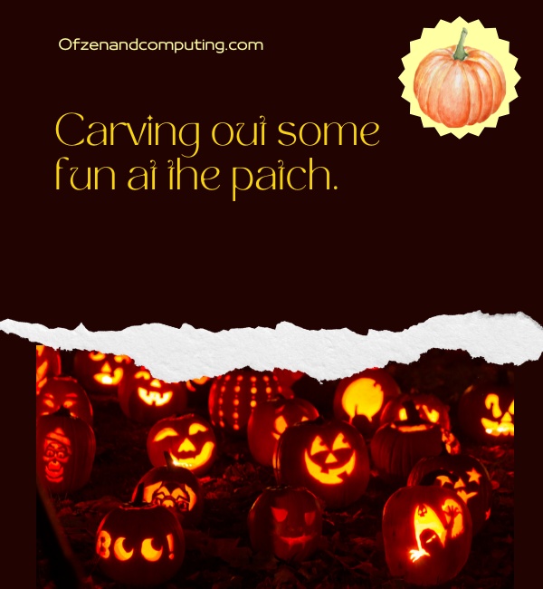 Halloween Pumpkin Patch Captions For Instagram (2025)