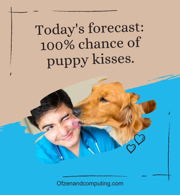 Happy Dog Captions For Instagram (2025)