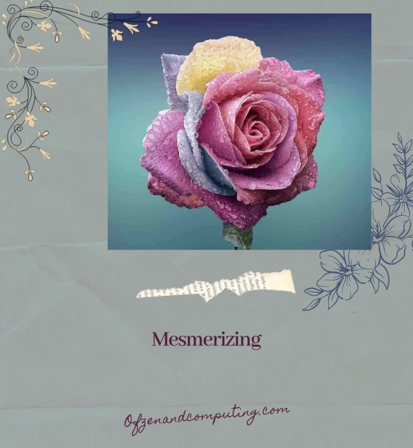 One Word Flower Captions For Instagram (2025)