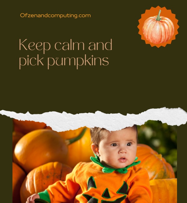 Pumpkin Patch Instagram Captions For Babies And Kids (2025)