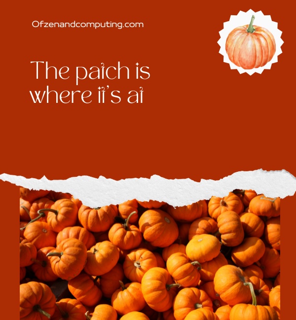 Pumpkin Patch Instagram Captions For Friends (2025)
