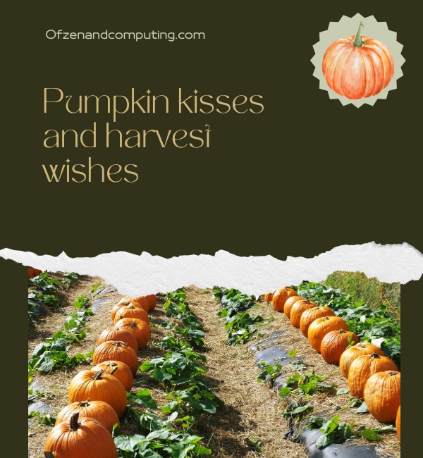 Pumpkin Patch Instagram Captions With Boyfriend (2025)