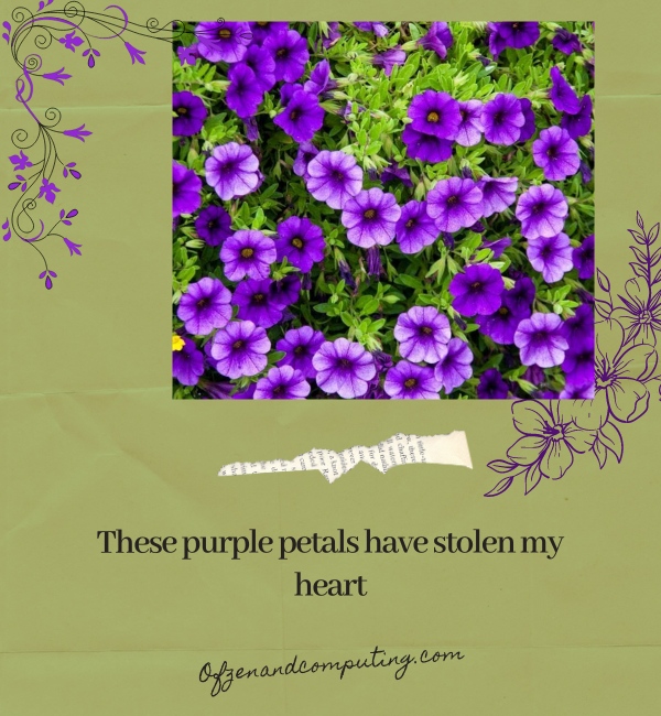 Purple Flower Captions For Instagram (2025)