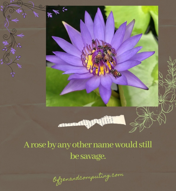 Savage Flower Captions For Instagram (2025)