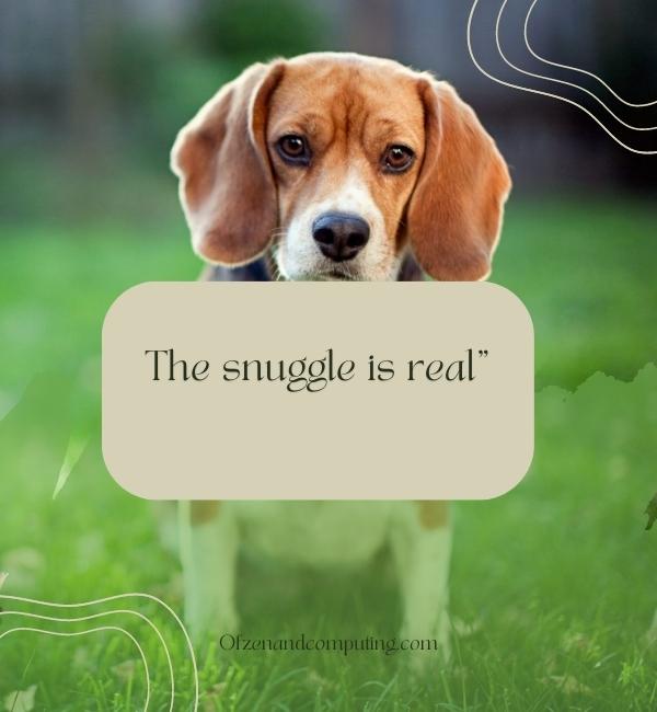 Short Dog Captions For Instagram