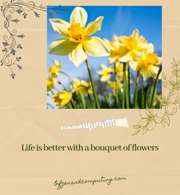 Spring Flower Captions For Instagram (2025)