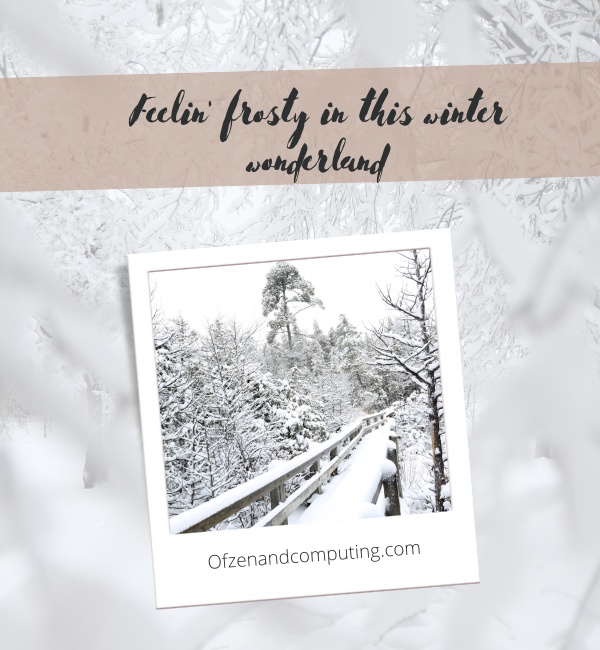Winter Wonderland Captions For Instagram (2025)