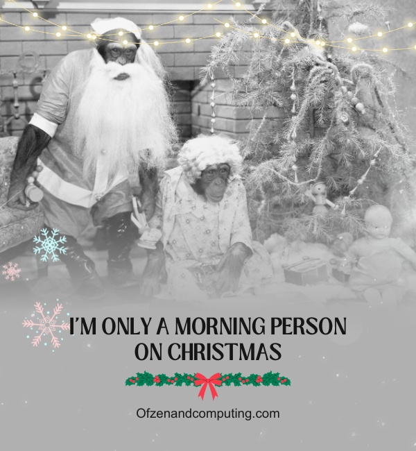 Witty Christmas Captions For Instagram (2025)