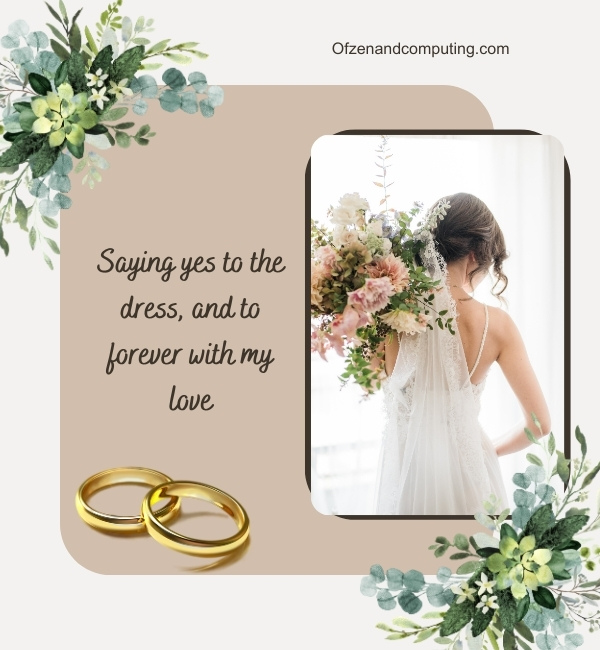 Wedding Dress Captions For Instagram (2025)