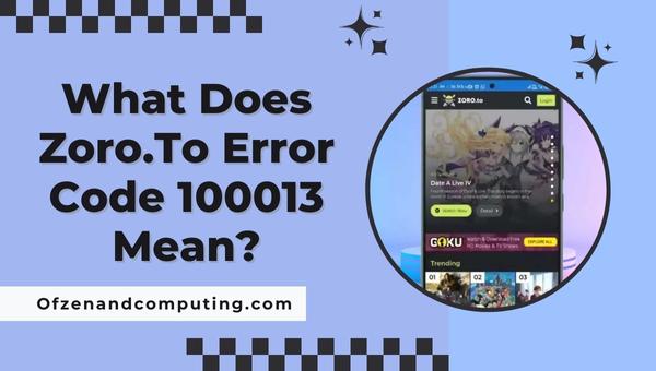 What does Zoro.to Error Code 100013 mean?