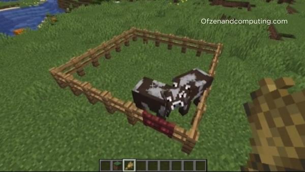 Cow Farm