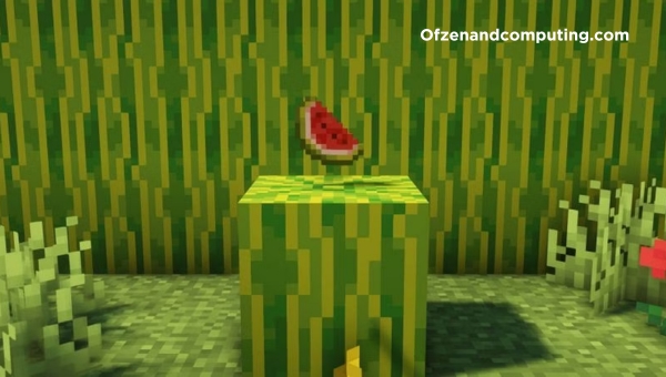 Melon