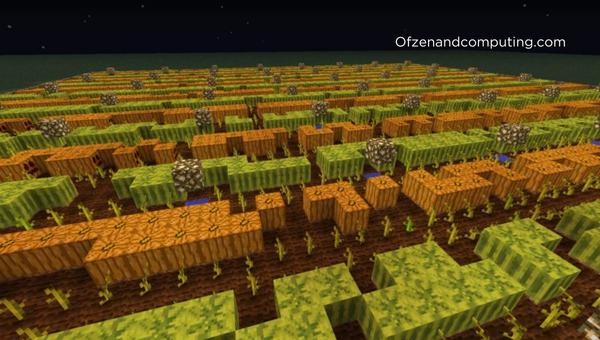 Pumpkin Melon Farm