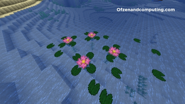 Water-Lily-Pond