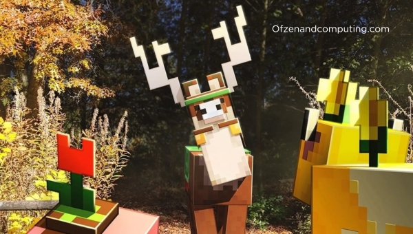 Where to Find a Llama?