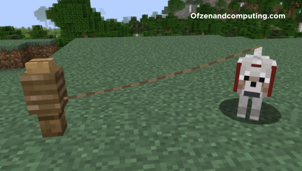 What-Is-A-Lead-In-Minecraft